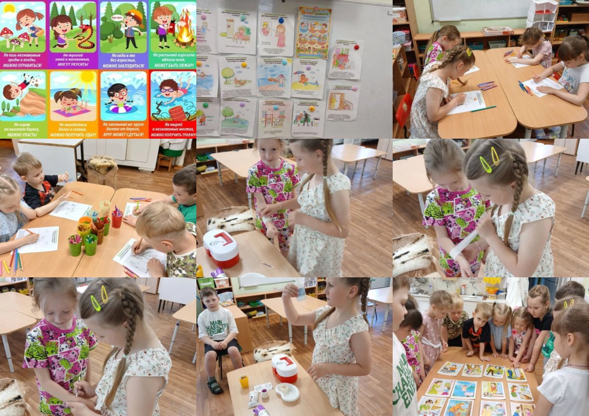 collage9photos1780904998774.jpg