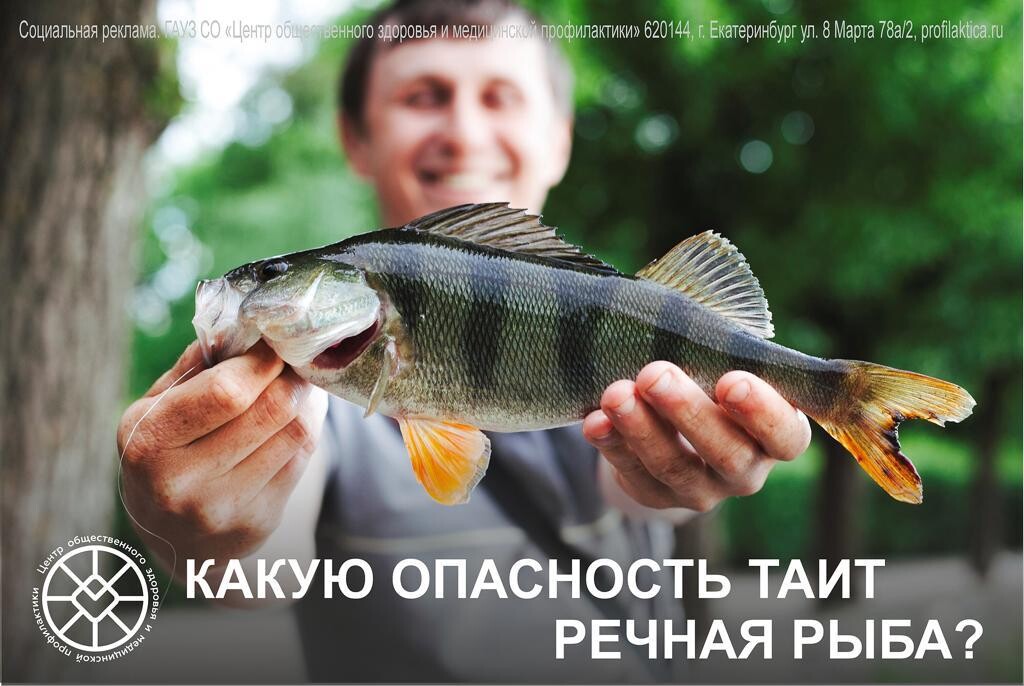 Какую_опасность_таит_речная_рыба.jpg